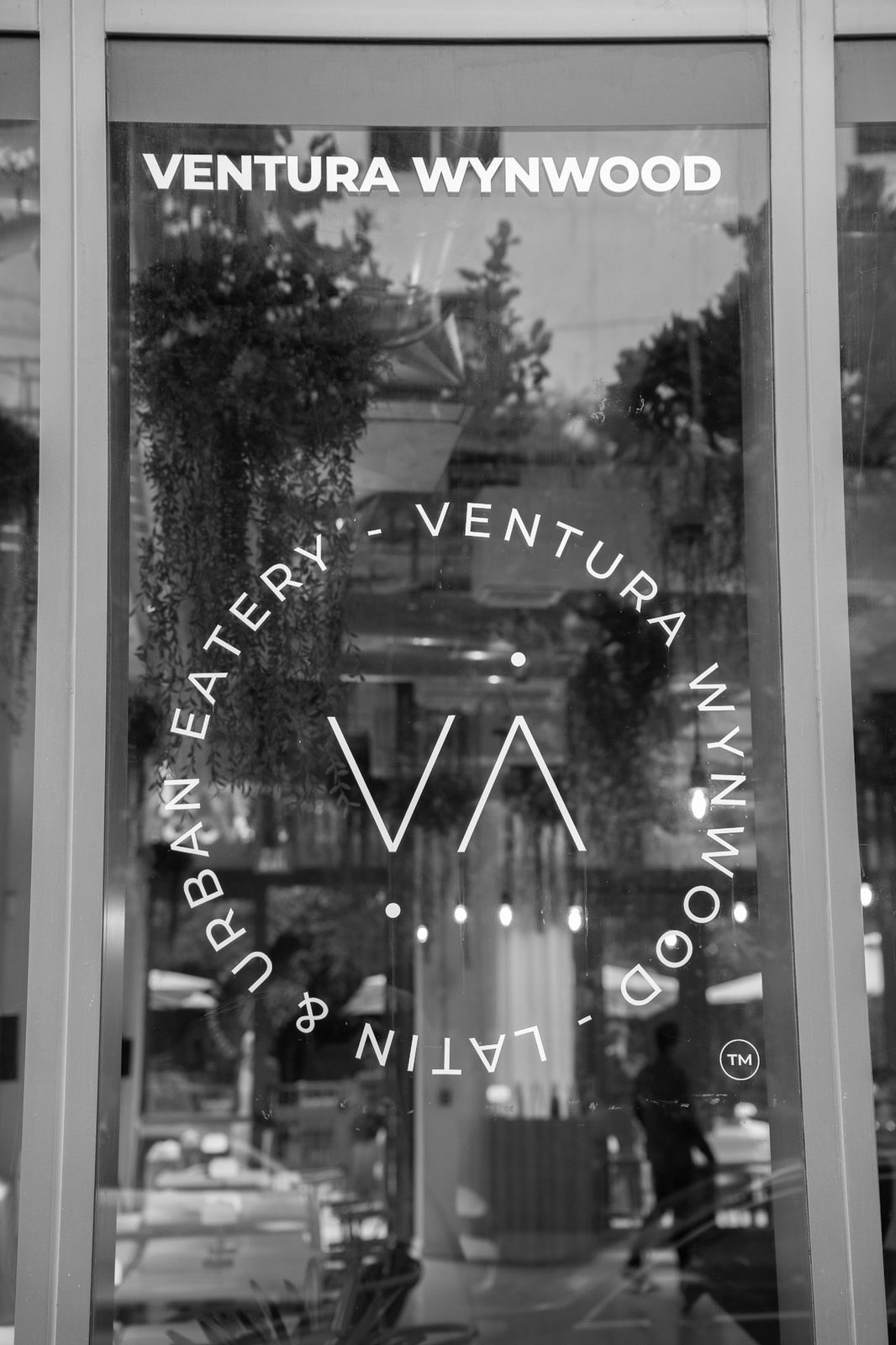 Ventura Wynwood storefront